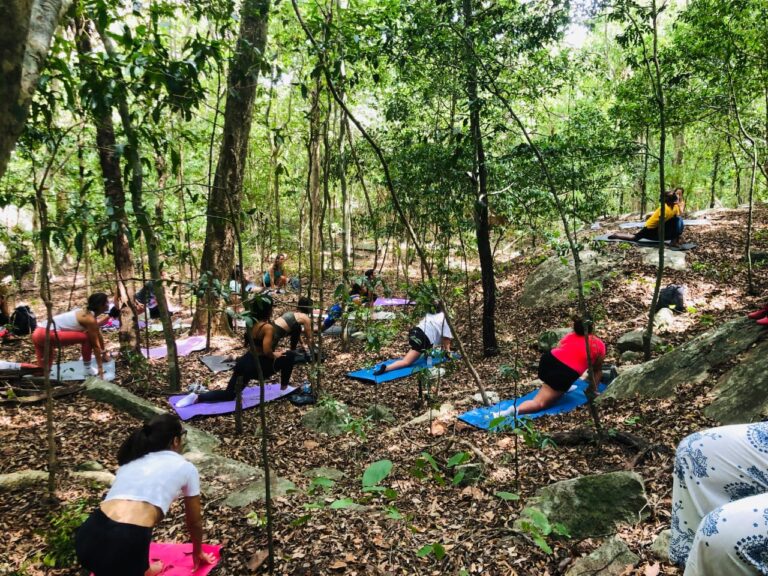 whatsapp image 2025 10 25 at 15.47.42