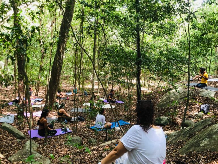 whatsapp image 2025 10 25 at 15.48.30