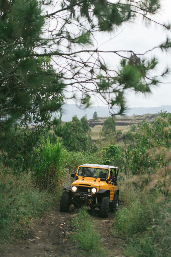 pexels arthousestudio 4530562