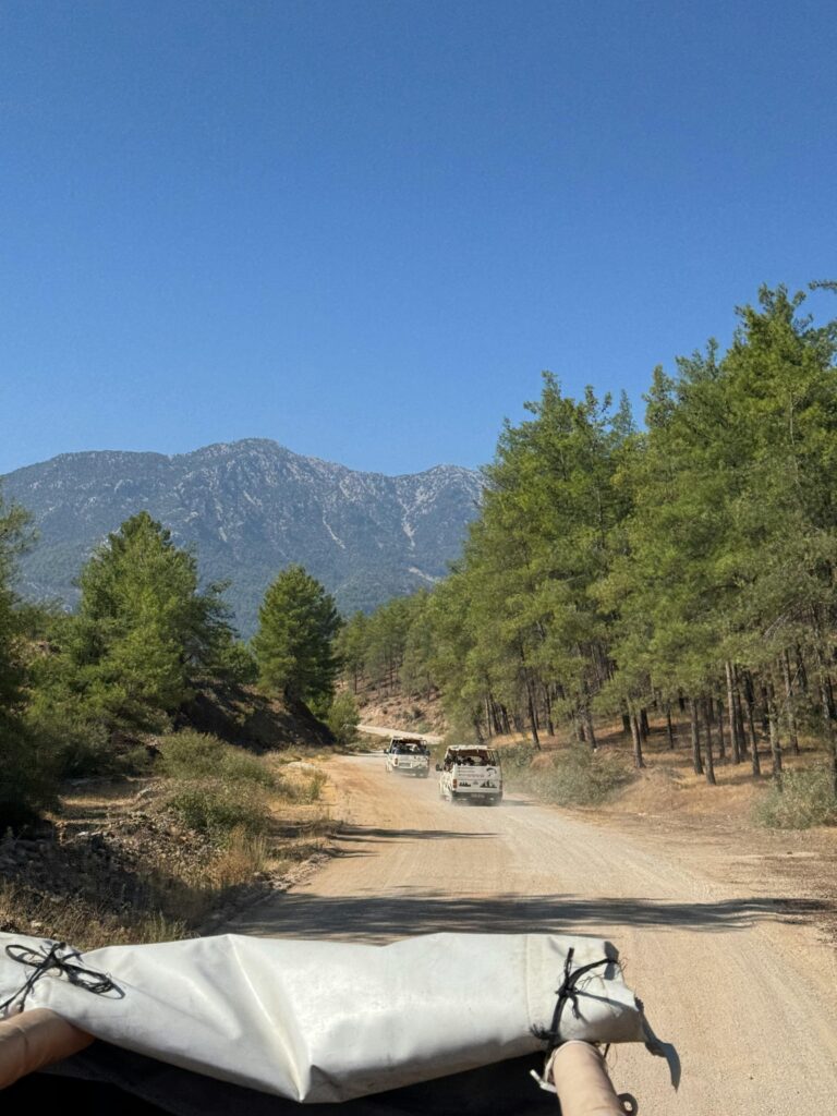 pexels ayse demir 2152256021 33802106